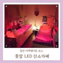 백마로 | 일산 힐링카페 꽃잠LED 산소카페 이색데이트 후기