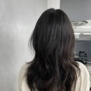숩틸 이미지