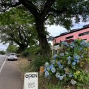 의식주 | 제주 라마네의식주 위치 주차 웨이팅 솔직후기