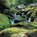 【가리왕산 加里王山 (1,561.8m)】「벼나 나무를 쌓은 더미같다 」 이미지