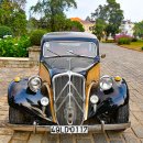 티팰리스 이미지