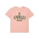 타오 카카오 검색결과