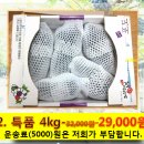 [판매종료] 김천 거봉포도 직거래 합니다. 4kg - 29,000원 이미지