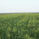 부천시민햇빛발전소4호기 | 햇빛발전소