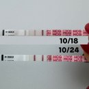 진해택시 노동조합 | 5주6일 : 아기집•난황 확인 후 임신초기 자연유산 “말랑아 잘가”