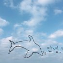 보름닭집