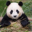 광주광역시 우치동물원 동물병원 이미지