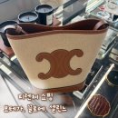 보테가 | 피렌체 더몰아울렛 보테가 끌로에 셀린느 가격 쇼핑 후기 득템할 수 있을까?