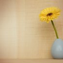 성경 공부법: 말씀이 감정이 되게 이미지