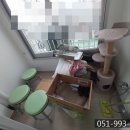 부평부백자연애아파트 네이버블로그