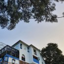 야생화 카페 펜션 | 강화도 야생화카페펜션 후기