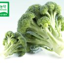 모단농장 이미지