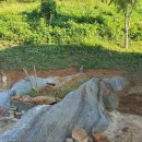 반석농장2 이미지