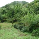 후곡1교 이미지