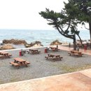 주전보밑항연안공원화장실 이미지