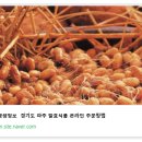 파주식품 이미지