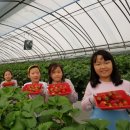 동암농장 이미지