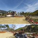 강여울숲