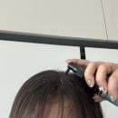 뉴헤어보고서