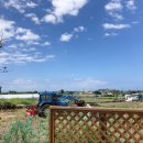 스테이해봄 이미지