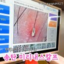 미리내아파트 | 평택 두피케어 송탄미리내스칼프 임산부관리 재방문후기