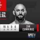 오늘은 태권도 이미지