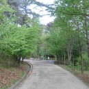 검바위약수터 이미지