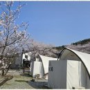 와이제이-이 이미지