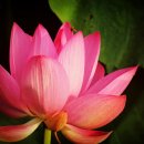 (주)지환 이미지