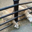 늘솔길공원1 이미지