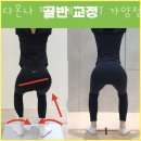 다온나 필라테스&PT 네이버블로그