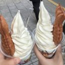 소촌제1공원(용아) | 바쁘다고 생각했는데 블로그 써보니까 실제로 바쁜 거였다