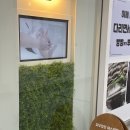 피부정원 이미지