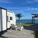 동해애견센터 이미지