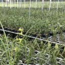 혜인1농장 이미지