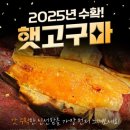 아빠손 푸드 | 맛있는 고구마 추천 맛꾼푸드 꿀고구마 호박고구마 베니하루카 맛 솔직후기(3kg, 5kg)