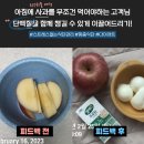 티비컨설팅 | 망원역 필라테스 "이것만 알아도 다이어트, 체력증가 성공합니다" 바디컨설팅 후기 / 수업방식 / 시설