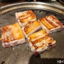 도담갈비 티스토리