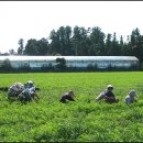 마장목장 이미지