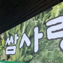 쌈사랑쌈밥 | [용인 맛집] 쌈이 무한리필로 제공되는 용인 쌈사랑 솔직 후기