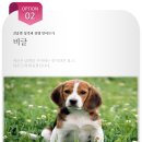 잘하는 동물메디컬센터 이미지