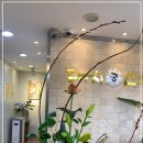 버들한의원 이미지