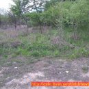 개울가 펜션 이미지