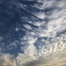 여명자동차정비 이미지