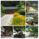 본동민박 이미지