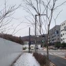 유일프라자약국