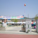 추풍령초등학교 이미지