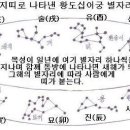 올해가 을사년이고 작은 푸른 뱀 해가 되는 이야기 이미지