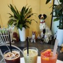 봄봄수산 이미지