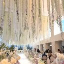 나디아영어 | 수서 메종디탈리 성남 식사 베뉴 하객 후기 X 미국 결혼식